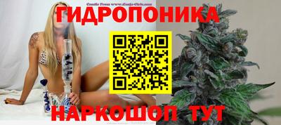 a pvp Ливны