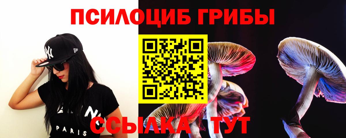 Псилоцибиновые грибы мицелий  Вход с VPN  Жуковский  Псилоцибиновые грибы ЛСД 